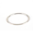 ZIPP body Shim/Skive (ø19.6/17x0,5 mm) - 11.2018.038.000