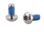 Rotorbolte Elvedes M5x10mm Titanium - 6 stk - ELCP2015153 - allbike.dk
