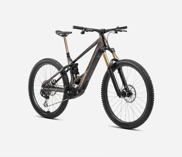 Orbea WILD M10 - Cosmic Carbon - R345xxV3